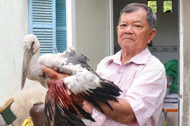 Gợi ý thêm những con số tài lộc khi mơ thấy con cò